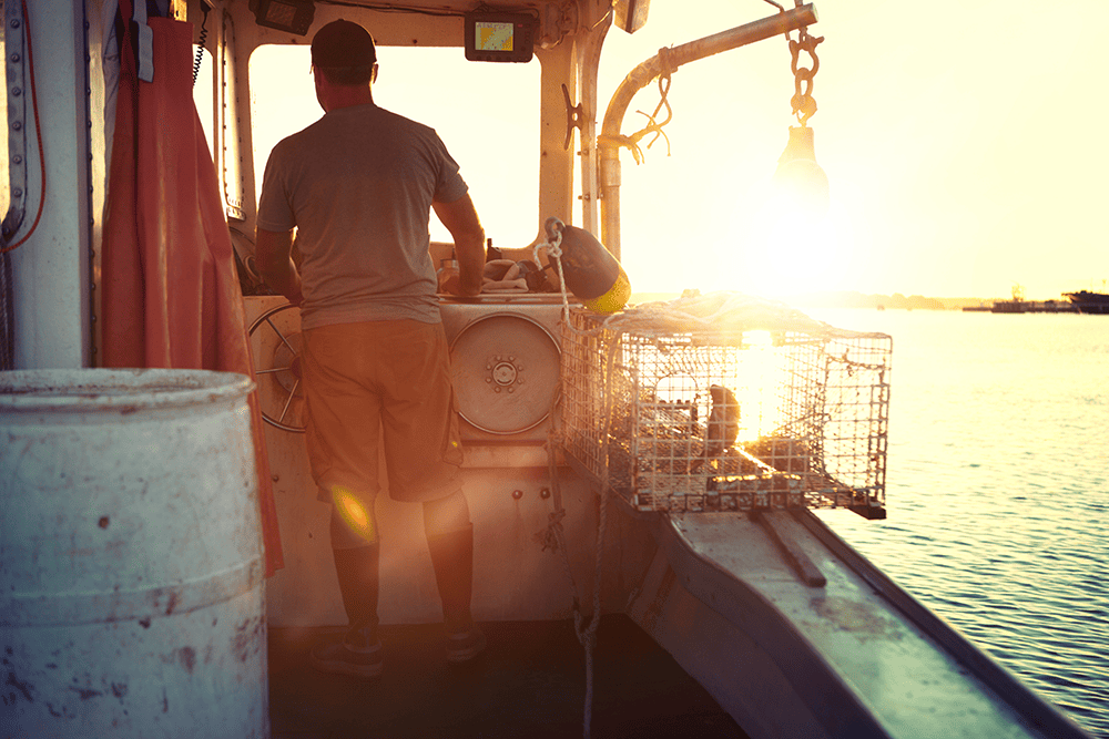 les m&eacute;tiers de la mer